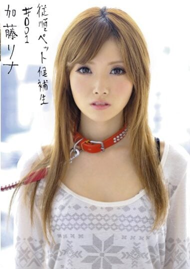 INU-003 Reduce Mosaic